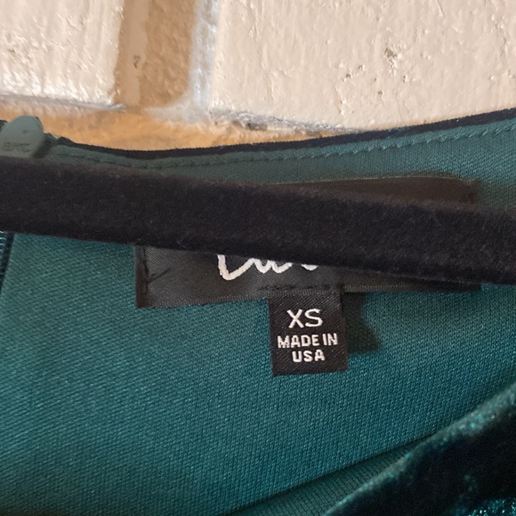 Lulu’s dark green velvet off the shoulder dress - Picture 6 of 9